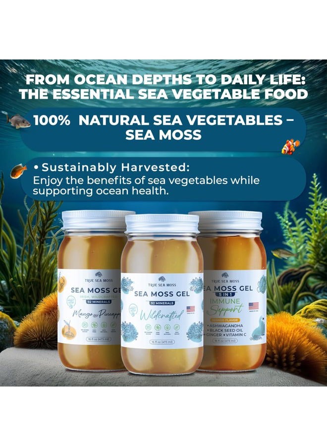 True Sea Moss Wildcrafted Irish Sea Moss Gel - Made with Dried Seaweed - Seamoss, Vegan-Friendly, Antioxidant Supports Digestion - Made in USA (Strawberry, Pack of 1) - Image 2