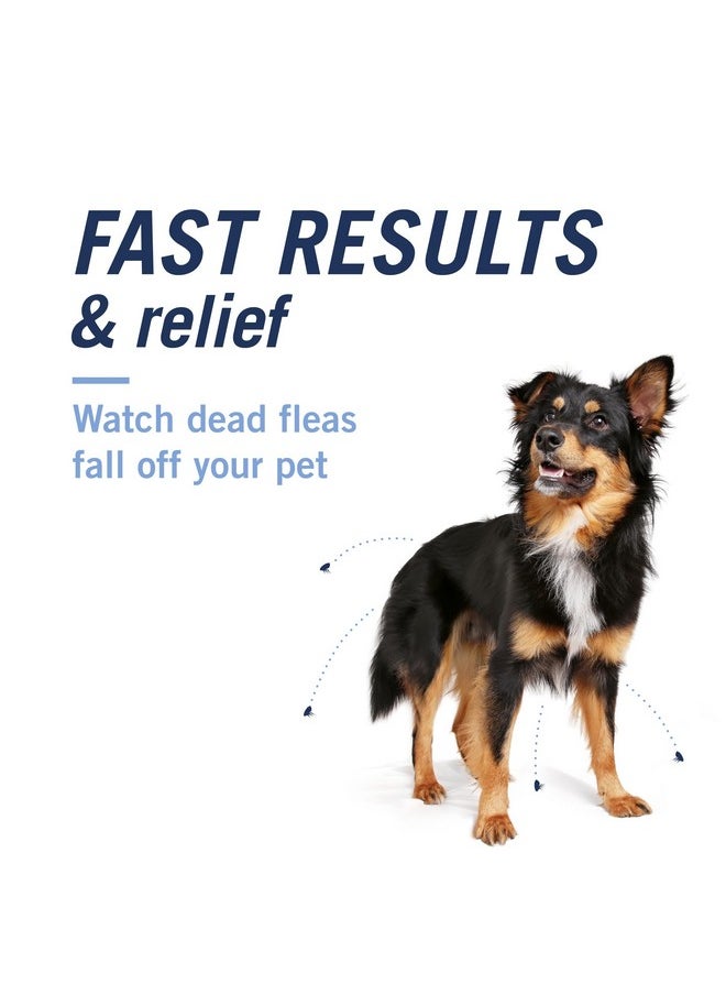PetArmor Capaction (Nitenpyram) Oral Flea Treatment For Dogs, Fast Acting Tablets Start Killing Fleas In 30 Minutes, Dogs Over 25 Lbs, 6 Doses (Pack Of 1) (Packaging May Vary)  - Image 4