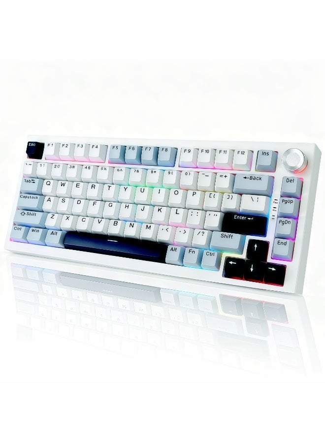 DstoPar Wireless Mechanical Keyboard，75% Hot Swappable Gaming Keyboard With multifunction knob，RGB Backlit，Gasket Structure，PBT Keycaps ，Bluetooth5.0/Type-C/2.4G，K81 mechanical keyboard (Bright White) - Image 1