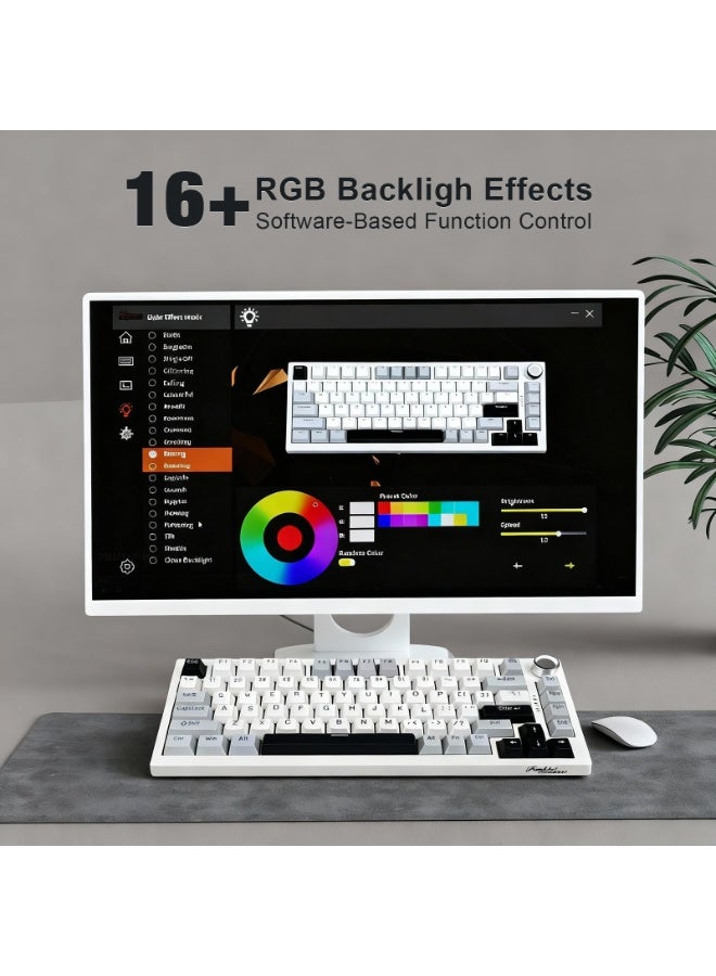 DstoPar Wireless Mechanical Keyboard，75% Hot Swappable Gaming Keyboard With multifunction knob，RGB Backlit，Gasket Structure，PBT Keycaps ，Bluetooth5.0/Type-C/2.4G，K81 mechanical keyboard (Bright White) - Image 4