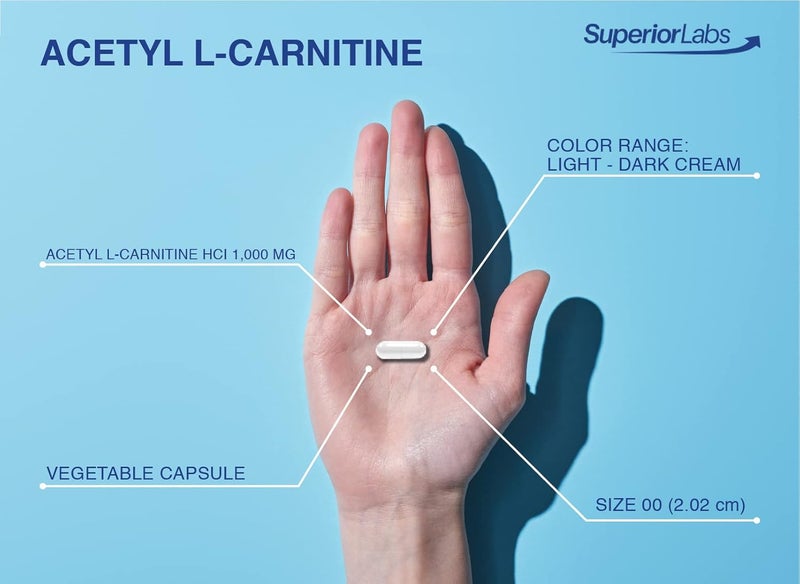 Superior Labs مكملات سوبرير لابز أسيتيل إل كارنيتين 1000 ملغ عالية الفعالية ALCAR نقية غير معدلة وراثيًا بدون إضافات صناعية امتصاص أقصى طاقة  استقلاب الدهون دعم الدماغ والأعصاب والخلية 200 كبسولة نباتية - Image 3