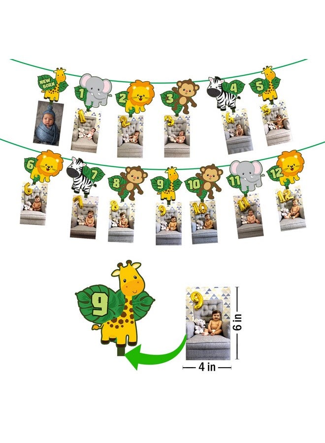 Party Propz Party Propz Jungle Theme Birthday Decoration Kit - 4pcs Jungle Theme Birthday Decoration Items for Boy and Girl,12 Month Photo Banner, Happy Birthday Banner (Cardstock) - Image 4