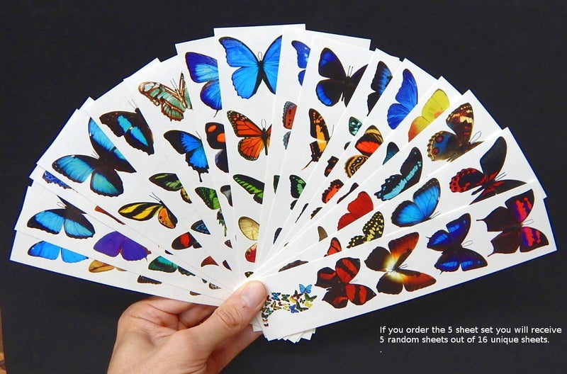 Butterfly Utopia تاتو فراشات مؤقتة ملونة - 5 أوراق - من باترفلاي يوتوبيا - Image 4