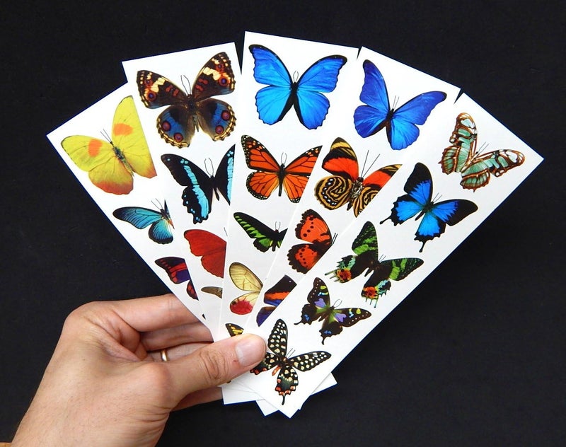 Butterfly Utopia تاتو فراشات مؤقتة ملونة - 5 أوراق - من باترفلاي يوتوبيا - Image 3