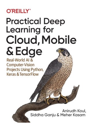 Practical Deep Learning for Cloud and Mobile Real World AI Computer Vision Projects Using Python Keras TensorFlow - Paperback - pzsku/Z7E85B3C58DDD5A176413Z/45/1760530673/1a4563c6-ee12-4cdd-b2e7-b6a958449f61
