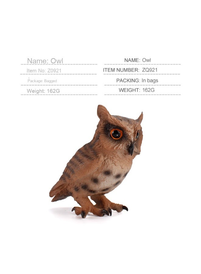NIBEMINENT Wildlife Educational Model of Birds for Children