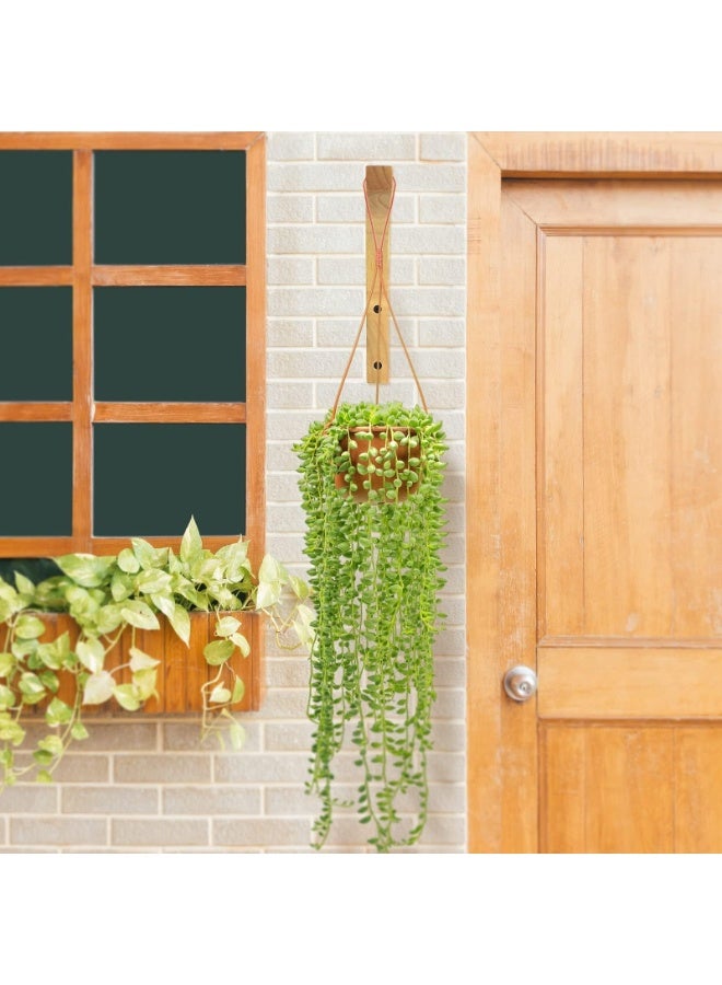 general Two wooden wall hooks, indoor plant hooks, wall-mounted plant hooks, suitable for flower pots, lanterns, flower stands, wind chimes, etc., wood grain color. - Image 5