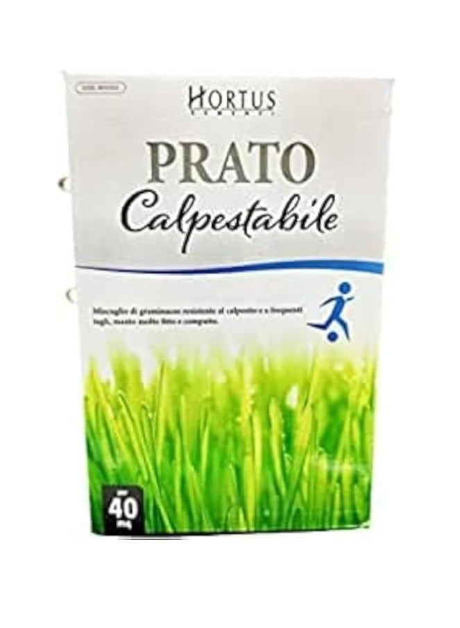 بذور عشب الجاودار PRATO Calpestabile من Hortus 1 كجم - Image 1