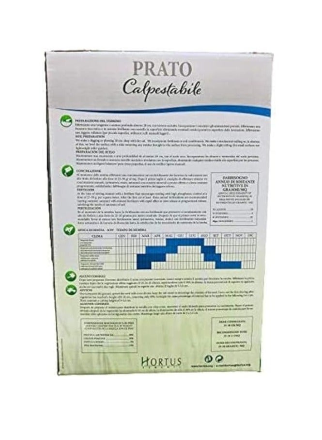 بذور عشب الجاودار PRATO Calpestabile من Hortus 1 كجم - Image 2