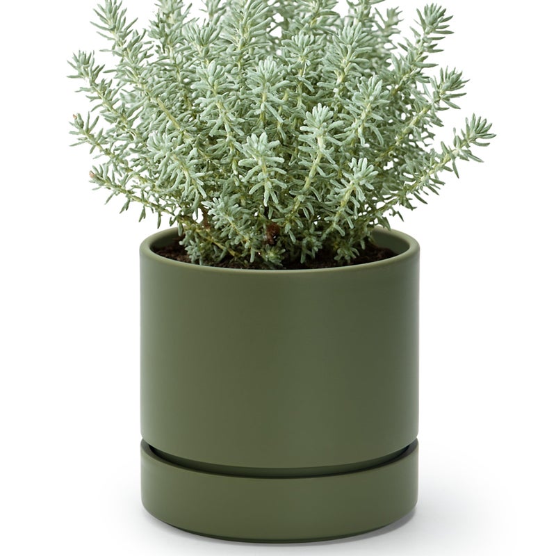 Phoenix Vine 6 Inch Planter Pot with Drainage Hole & Saucer, Deep Water Catch Tray, Straight Cylindrical Round Pot for Plants, Olive, Pack of 1, 23-F-S-1 - Image 1
