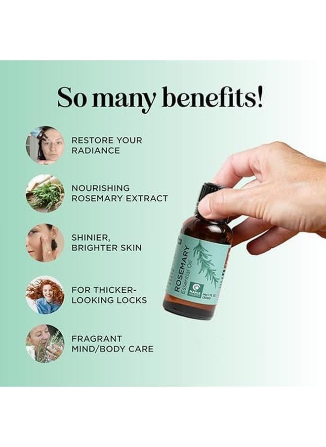 Maple Holistics - Pure Rosemary Oil For Hair Growth Undiluted Rosemary Essential Oil For Hair Skin And Nails And Refreshing Aromatherapy Oil For Diffusers 118Ml Rosemary 30 Ml - Image 1