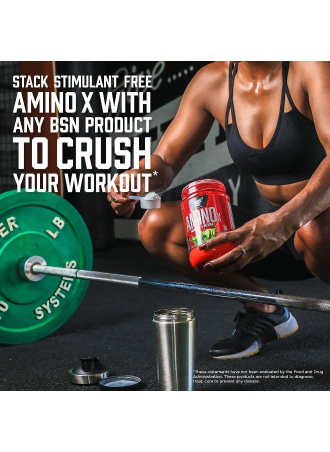 BSN - Amino Energy Powder for Endurance and Recovery, Effervesent Instantized Amino Acids, Dietary Supplement - Fruit Punch, 435 Grams, 30 Servings - Image 1