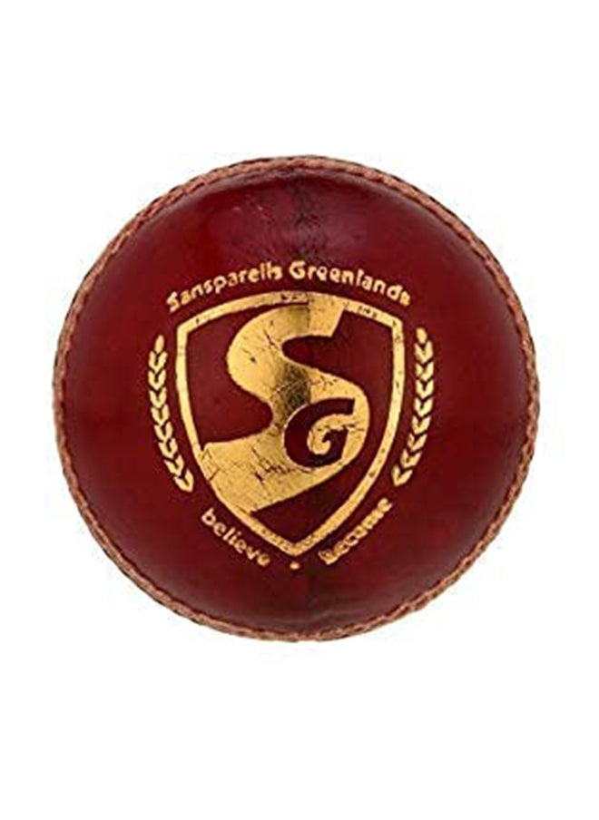 Bouncer Cricket Balls | Water Proofed Leather Ball | Suitable for Practice Game | Tournament Game | Top Quality Cork