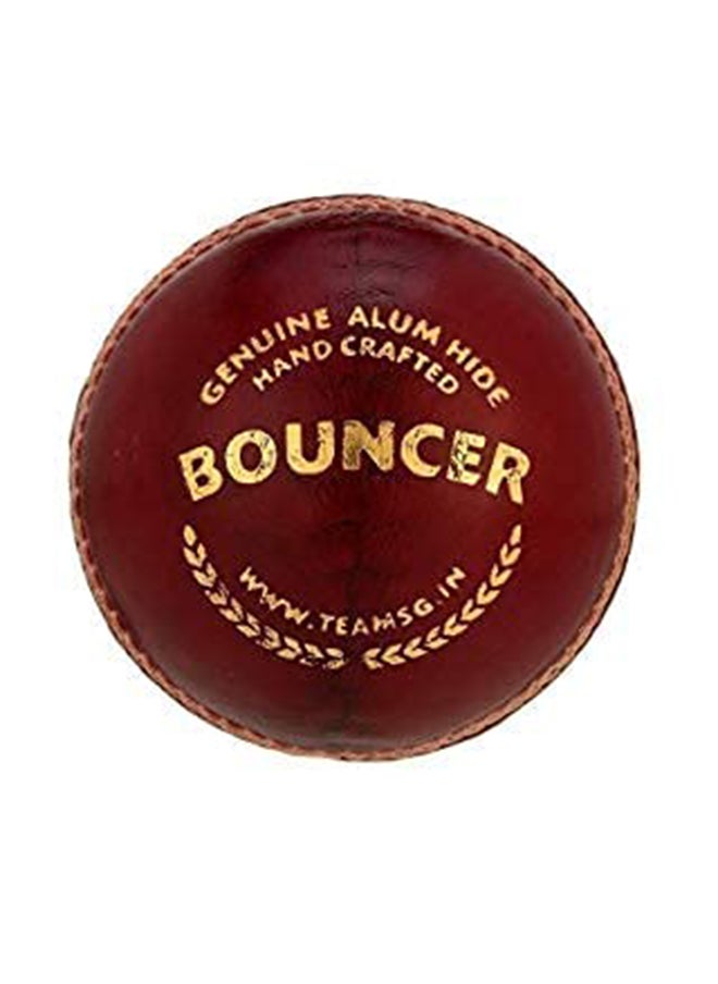 Bouncer Cricket Balls | Water Proofed Leather Ball | Suitable for Practice Game | Tournament Game | Top Quality Cork