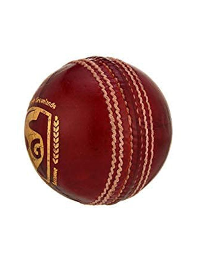 Bouncer Cricket Balls | Water Proofed Leather Ball | Suitable for Practice Game | Tournament Game | Top Quality Cork