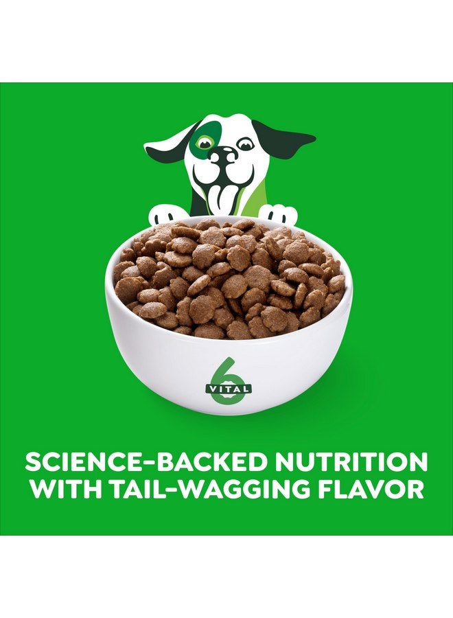 جرينيز طعام جاف للكلاب البالغة عالي البروتين من Greenies Smart Essentials، وصفة الدجاج والأرز الحقيقية، كيس 6 رطل - Image 2