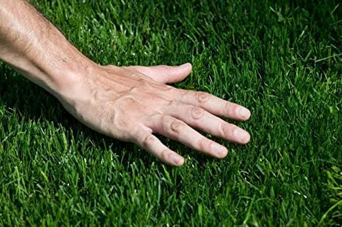 Carpet Planet Artificial Grass - High Density Grass (Green 3-Tone)- Use As Balcony Garden, Carpet, Door Mat, 1 Piece(35 MM, 2.5X7 FEET) - Image 2