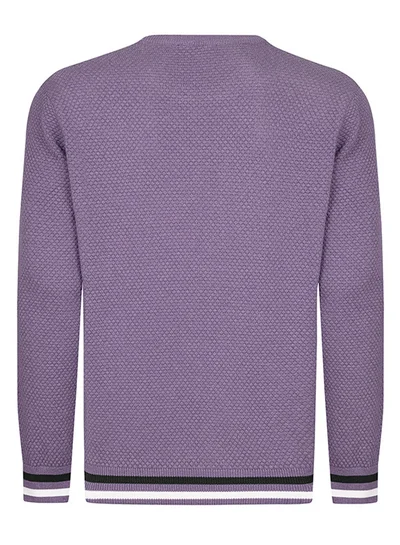 FELIX HARDY V-neck jumper