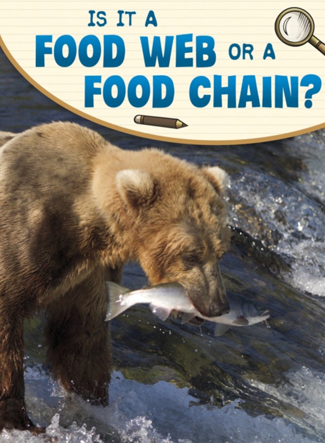 Is It a Food Web or a Food Chain?