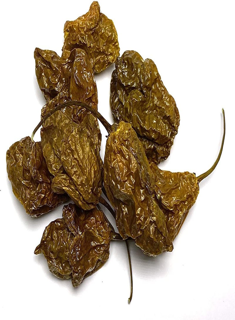 GGOOT Gator Jigsaw Ultra Hot  Dried Whole Pods 5 Pack - Image 1
