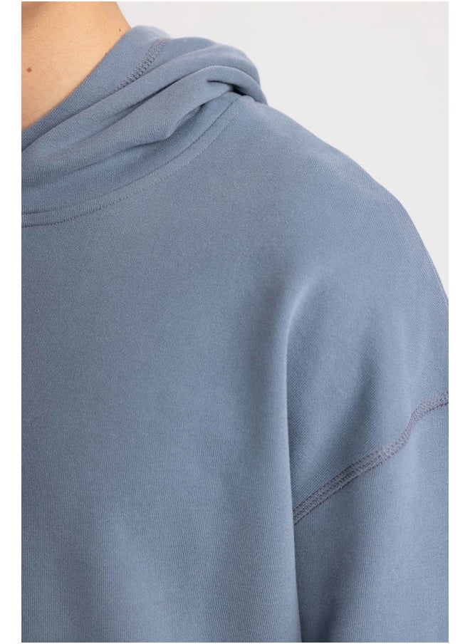 DeFacto - Man Comfort Fit Hooded Long Sleeve Knitted Sweat Shirt - Image 1