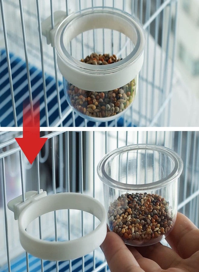 FOIBURELY 4 pcs Detachable Transparent Bowls for Canary Finch Parrot Seed Water Feeder - Image 4