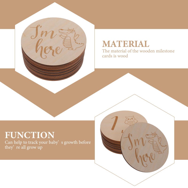 Wooden Monthly Milestone Cards Animal Designs 14pcs 10x10cm Newborn Photo Props - Image 4