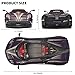 RZAPE Car Toys for Boys 1 18 Scale Diecast Cars Compatible for Pagani Huayra Dinastia Model Car Kits CollectionMetal Pull Back Cars with Light and SoundToy Cars for Boys Age 47Purple - Image 4