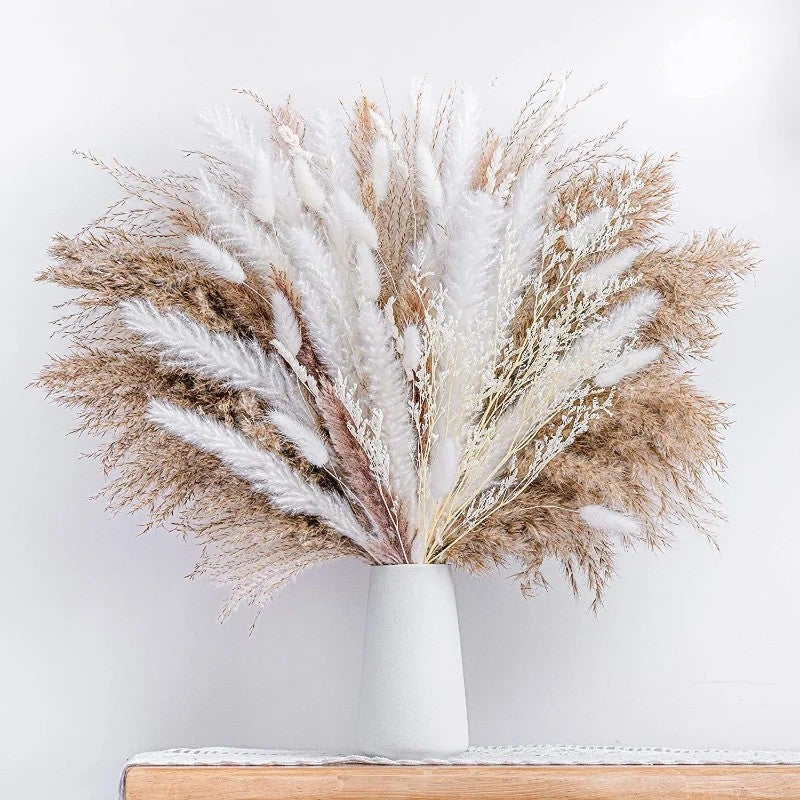 Bluejw Boho Pampas Grass Bouquet - Natural Dried Flowers Phragmites for Wedding Home Decor & Dried Plants Arrangement - Image 2