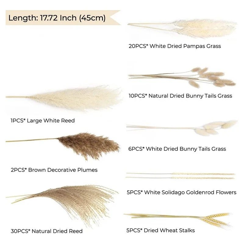 Bluejw Boho Pampas Grass Bouquet - Natural Dried Flowers Phragmites for Wedding Home Decor & Dried Plants Arrangement - Image 1