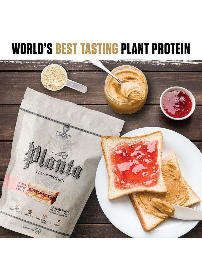 Ambrosia Planta - Premium Organic Plant-Based Protein (Peanut Butter & Jelly) - Image 3