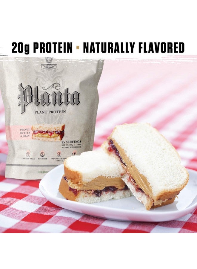 Ambrosia Planta - Premium Organic Plant-Based Protein (Peanut Butter & Jelly) - Image 4