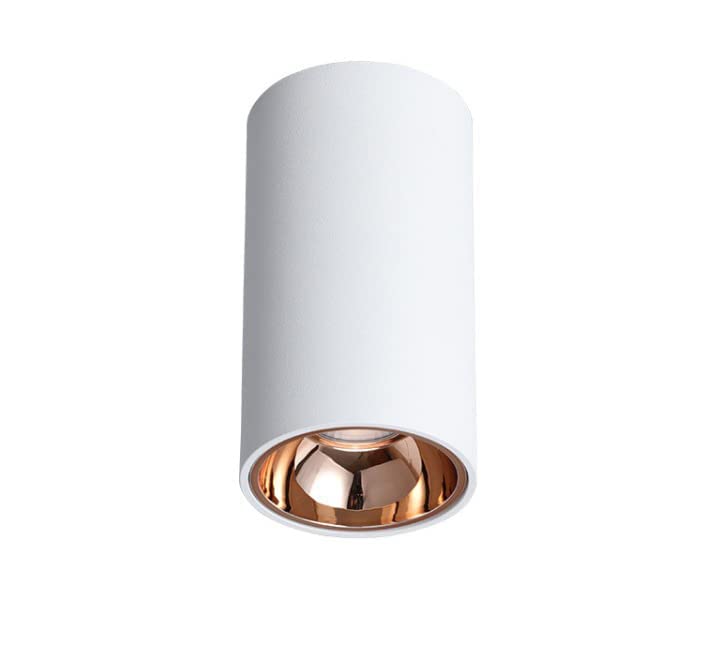 CITRA 6W LED Indoor Outdoor Ceiling Lamp Round Drum Cylinder White Rose Gold Wall Light 3000k (Warm White) - Image 1