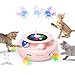 ORSDA Cat Toy 3in1 Automatic Interactive Electronic Moving Ambush Feather Fluttering Butterfly Track Balls USB Rechargeable Powered Smart Indoor Exercise Kicker - Image 3