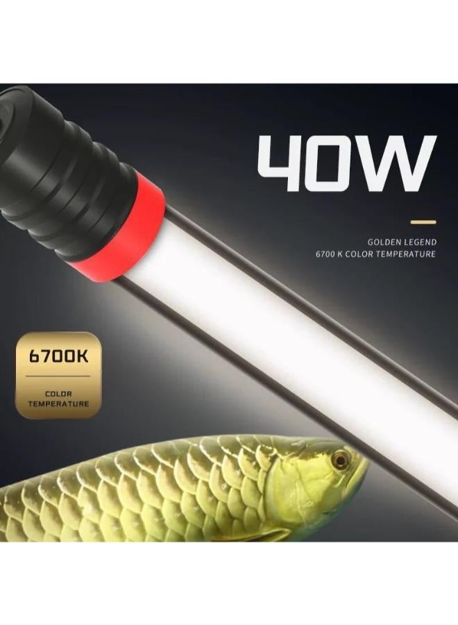 ضوء تعزيز تسمير اللون من بي آند كيه سوبريم أروانا - Image 1