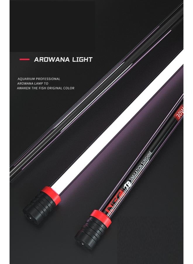 ضوء تعزيز تسمير اللون من بي آند كيه سوبريم أروانا - Image 5