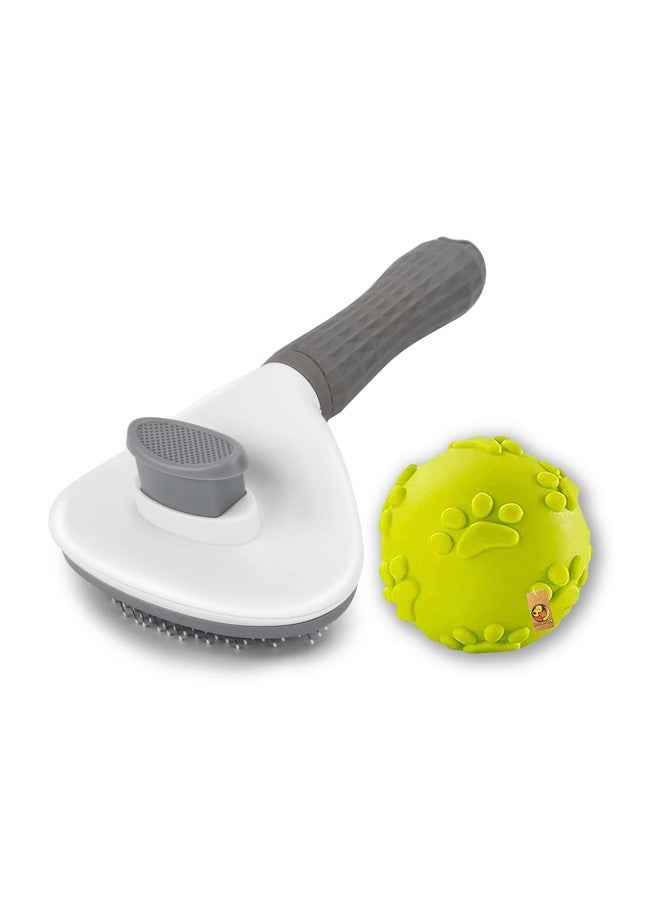 مجموعة 2 في 1 من فرشاة تنظيف الكلاب وكرة صرير للكلاب - (كرة المخلب + فرشاة تنظيف بيضاوية) | لعبة كرة صرير للكلاب وفرشاة تنظيف الكلاب - Image 1