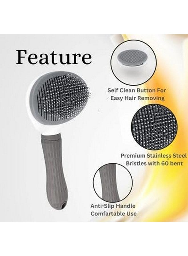 مجموعة 2 في 1 من فرشاة تنظيف الكلاب وكرة صرير للكلاب - (كرة المخلب + فرشاة تنظيف بيضاوية) | لعبة كرة صرير للكلاب وفرشاة تنظيف الكلاب - Image 4