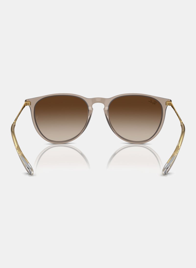 Ray-Ban Women Full Rim Oval Sunglasses 0RB4171 54 674413 - Image 4