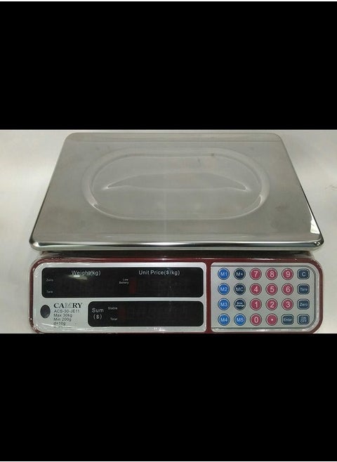 Computing Digital Scale