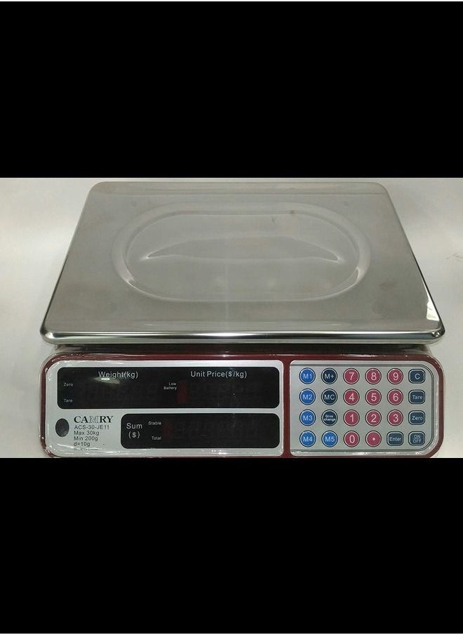 CAMRY - Computing Digital Scale - Image 1