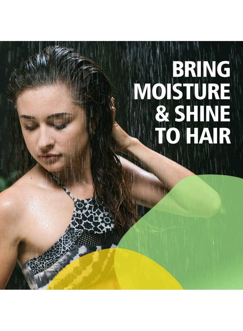 Sunny Herbals New & Improved pH Balanced Arnica Shampoo For Soft, Lustrous & Healthy Hair | Cantharis gives a Cool & Healthy Scalp | Brings Back Moisture & Shine With Fragrant Hair, 500 ml - Image 4