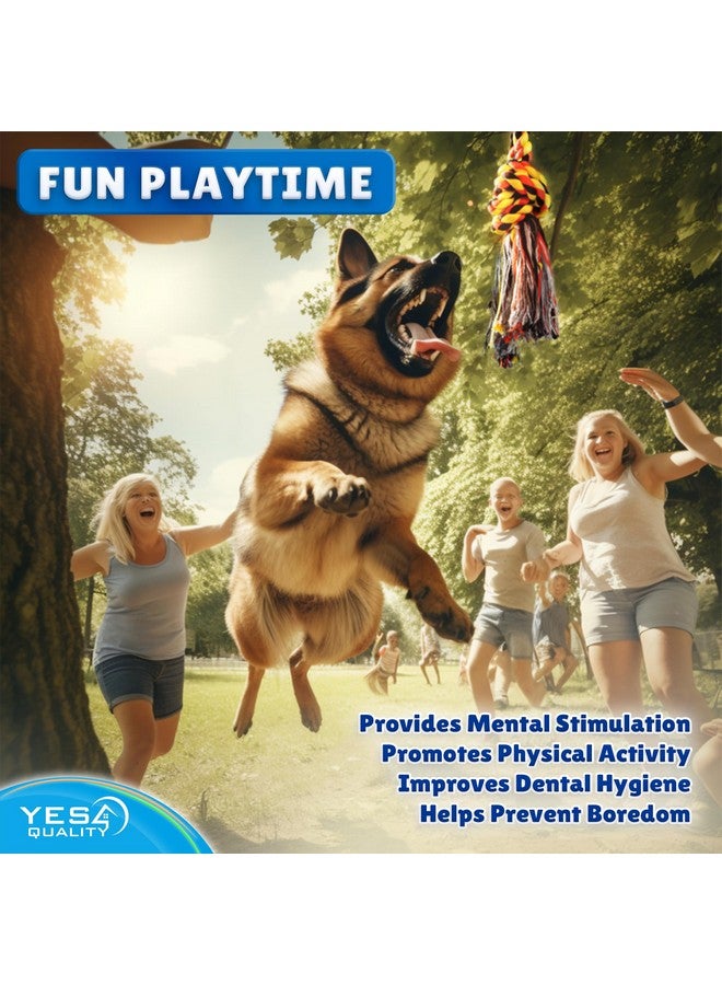 يس فور كواليتي لعبة حبل معلق للكلاب في الهواء الطلق، لعبة حبل شد الأشجار التفاعلية باللون الأزرق مع مجموعة زنبرك معدني و2 لعبة حبل، معدات تمرين شديدة التحمل للكلاب المتوسطة والكبيرة، ألعاب شد الحبل للكلاب - Image 2