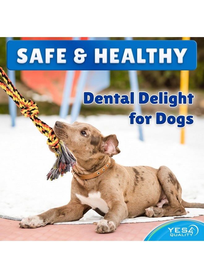 يس فور كواليتي لعبة حبل معلق للكلاب في الهواء الطلق، لعبة حبل شد الأشجار التفاعلية باللون الأزرق مع مجموعة زنبرك معدني و2 لعبة حبل، معدات تمرين شديدة التحمل للكلاب المتوسطة والكبيرة، ألعاب شد الحبل للكلاب - Image 3