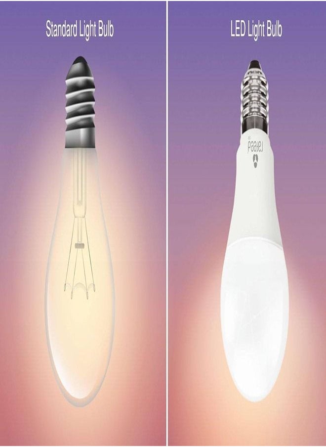 Led Jumbo Bulb 40 Watts Day Light