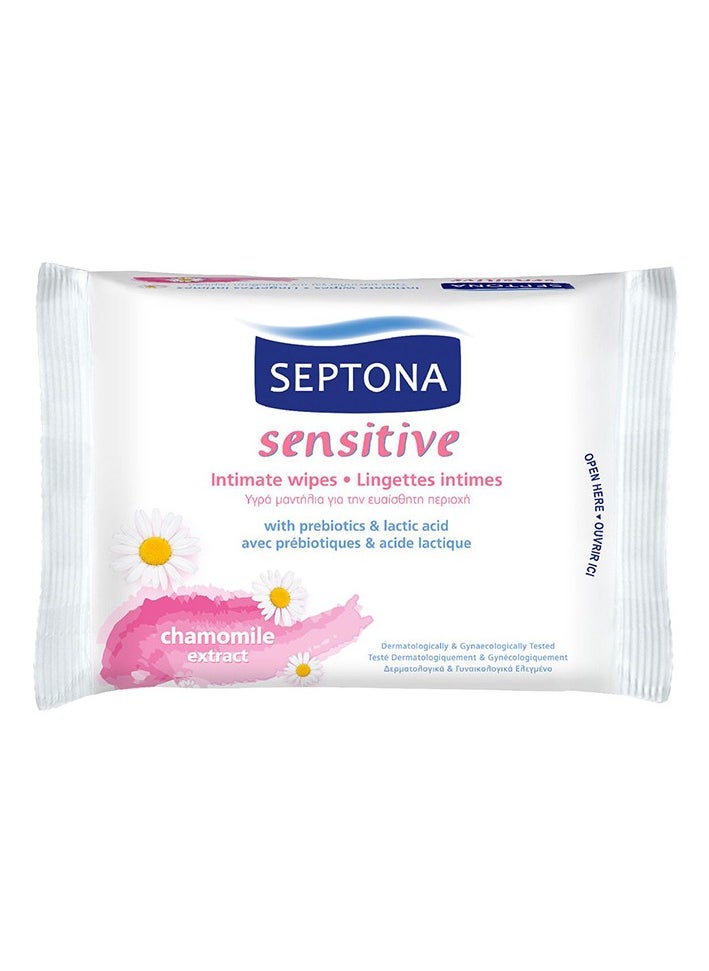 SEPTONA - INTIMATE WIPES W/CHAM 15'S - Image 1