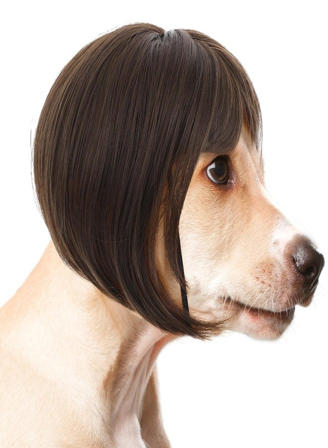 مولين شعر مستعار تنكري مضحك للكلاب والقطط من مولين، شعر مستعار للحيوانات الأليفة قابل للقص، زي تنكري للحيوانات الأليفة مناسب للهالوين، الكريسماس، الحفلات، المهرجانات، شعر مستعار للكلاب الصغيرة والمتوسطة والكبيرة، بني، محيط رأس من 11.81 إلى 23.62 بوصة - Image 1