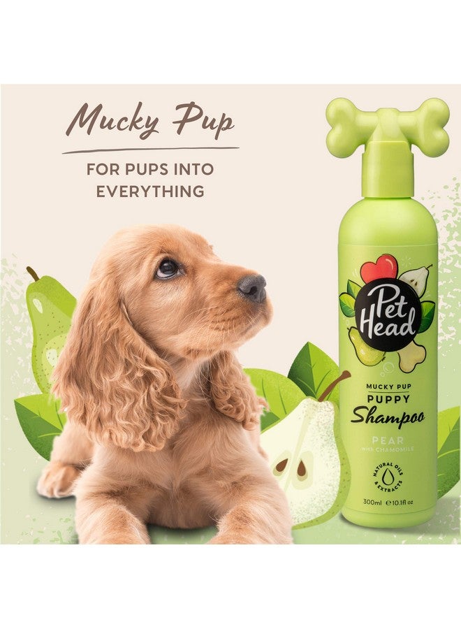 PET HEAD Pet Head Mucky Pup Puppy Shampoo | Pear Scent | Shampoo for Puppies from 8 weeks | Professional Grooming | Vegan Dog Shampoo | Gentle Formula for Puppies | Made in USA | 16 fl. oz.  - Image 3