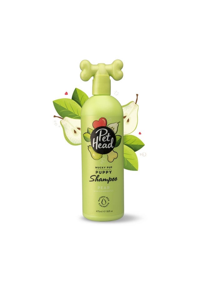PET HEAD Pet Head Mucky Pup Puppy Shampoo | Pear Scent | Shampoo for Puppies from 8 weeks | Professional Grooming | Vegan Dog Shampoo | Gentle Formula for Puppies | Made in USA | 16 fl. oz.  - Image 1