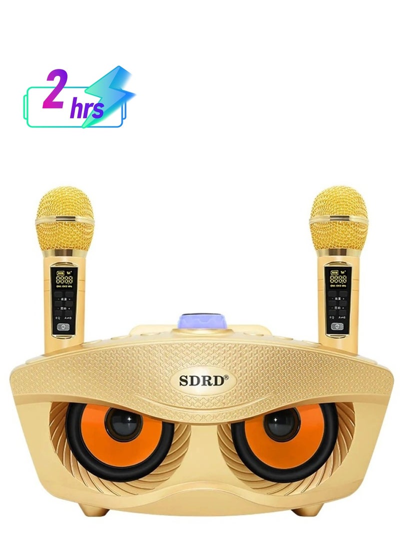 SDRD Portable Speaker Player Radio With Bluetooth Family KTV Speaker With 2 Wireless Microphones 30w Gold - Image 1